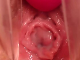 Buceta grávida - O olhar do tits