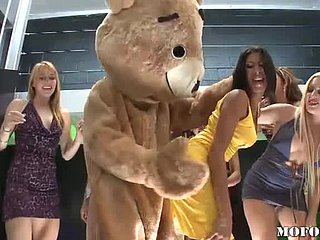 Dansende beer neukt latina kayla carrera concerning hete vrijgezellenfeest