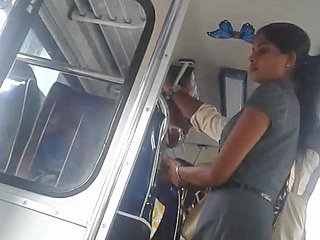 버스에서 스리랑카 귀여운 사무실 여자 엉덩이