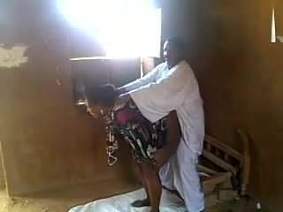 Sudańczycy domowe